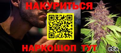 гидра Пушкино
