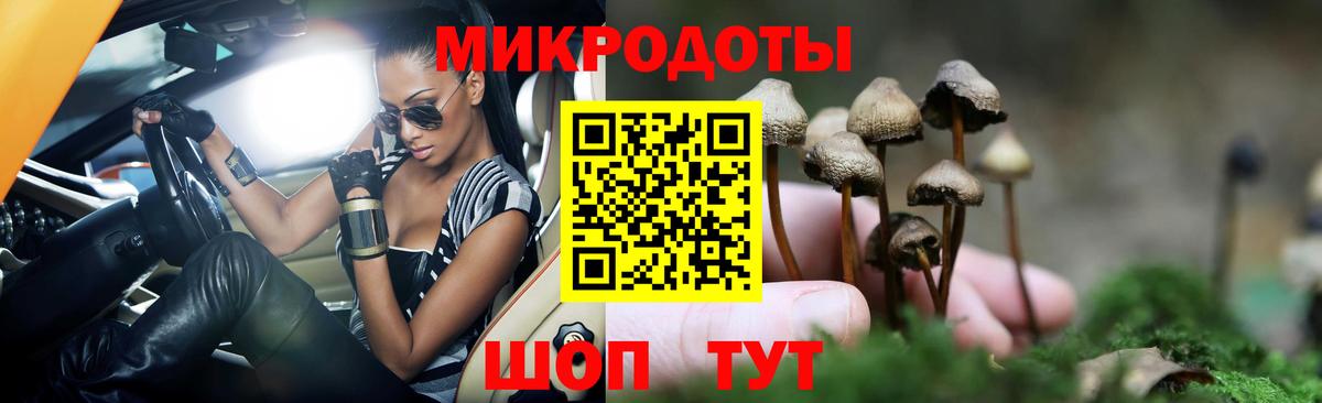 Галлюциногенные грибы GOLDEN TEACHER  Вход с VPN  Псилоцибиновые грибы мухоморы  Светлоград 